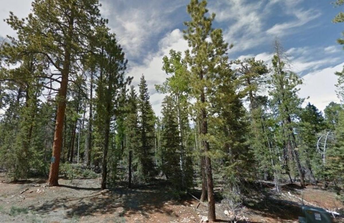  Land in Duck Creek Village, USA No. 486532