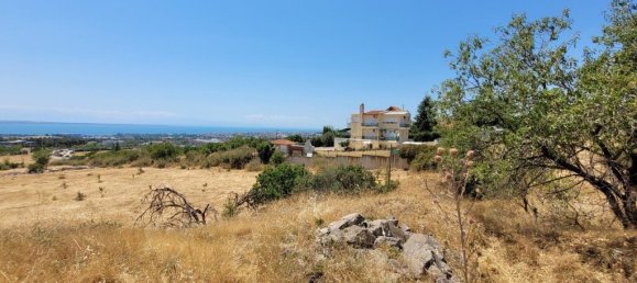 Terreno en Panorama, Greece 7000 m² No. 92791 10