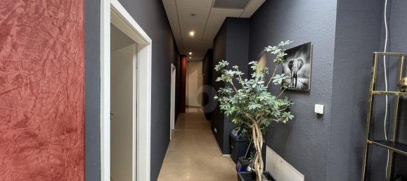 Propiedad comercial de 4 habitaciónes en Baden-Wurttemberg, Germany No. 47743 3