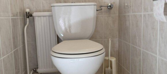 Дом с 5 комнатами в Бад Фёслау, Австрия № 232599 16