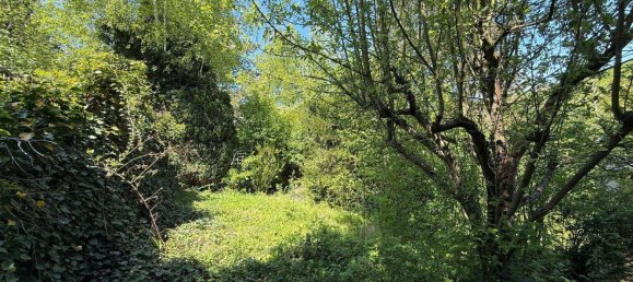 1 room Land in Penzing, Austria No. 250885 4