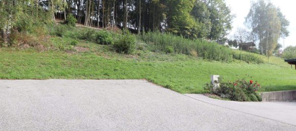 Земельный участок в Лудмансдорф, Австрия № 246647 4