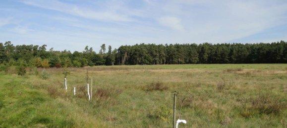 Casa de 2 dormitorios en Vorpommern-Greifswald, Germany No. 126779 19