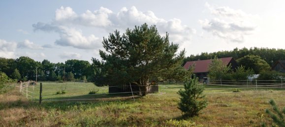 Casa de 2 dormitorios en Vorpommern-Greifswald, Germany No. 126779 22
