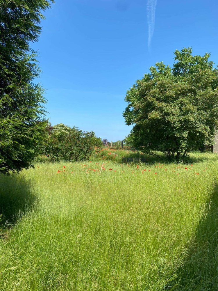 6 rooms House in Potsdam-Mittelmark, Germany No. 11679