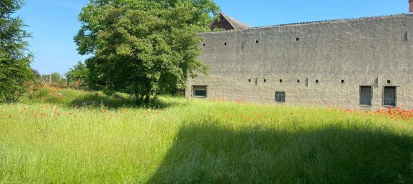 6 rooms House in Potsdam-Mittelmark, Germany No. 11679 4