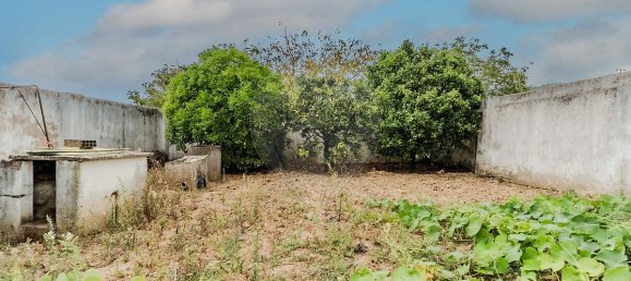 5 غرف نوم منزل في Cadaval, Portugal رقم 45908 44