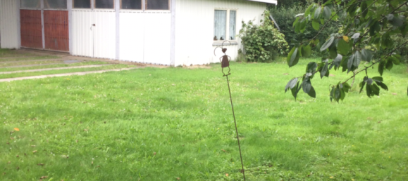 1 bedroom Townhouse in Vorpommern-Rugen, Germany No. 258949 16