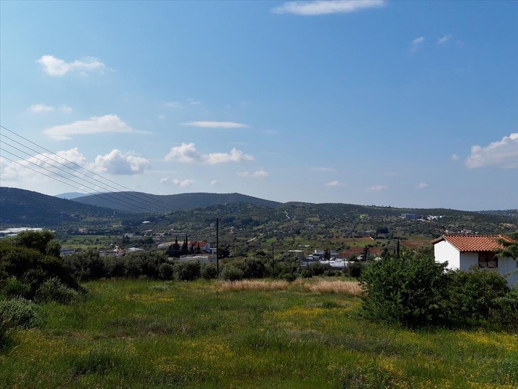 4 chambres propriété à vendre à Koropi, Kropia, East Attica, Attica, Greece № 5004