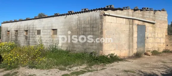 Almacén de 3 dormitorios en Sineu, Spain No. 170065 5