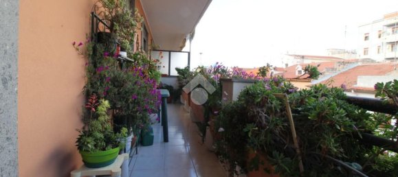 4غرفة شقة في Sassari, Italy رقم 7304 20