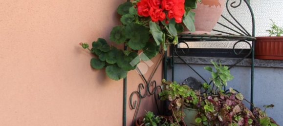 4غرفة شقة في Sassari, Italy رقم 7304 34