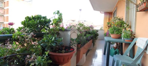 4غرفة شقة في Sassari, Italy رقم 7304 33