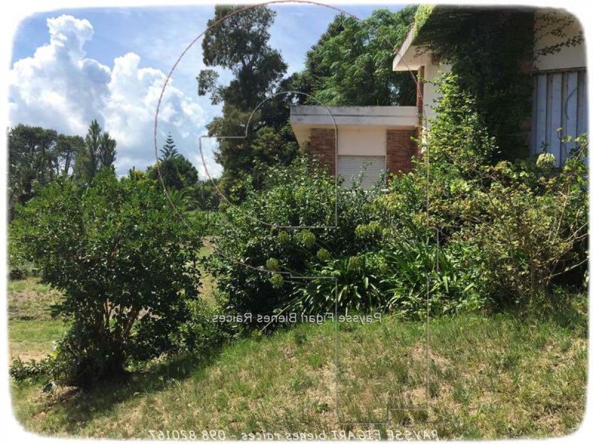 5 Schlafzimmer Haus in Canelones, Uruguay, Nr. 1936