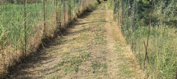 Estudio en Lascari, Italy No. 257752 10