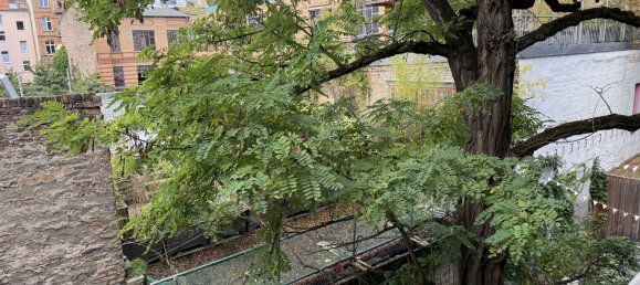 Apartamento de 1 dormitorio en Prenzlauer Berg, Germany No. 284444 9