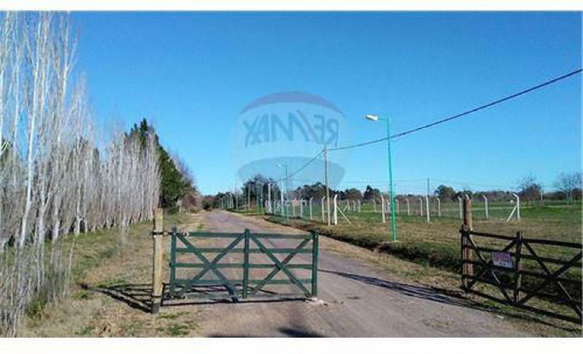  Land in Campo Creado, Argentina No. 39470