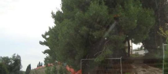 6170m² Building in Fermo, Italy No. 310587 15