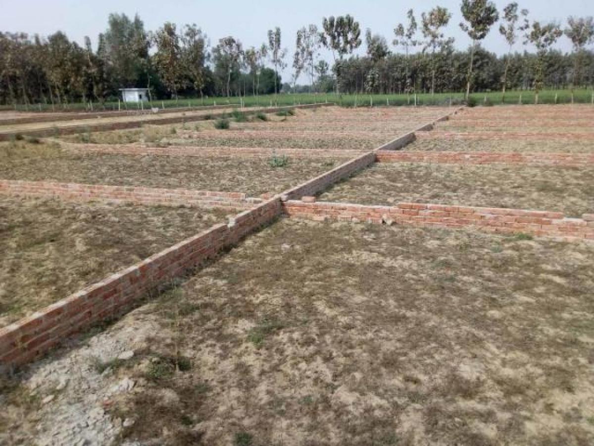 Terreno en Lucknow, India No. 30406