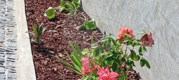 2 غرف نوم منزل في Gondoriz, Portugal رقم 37327 5