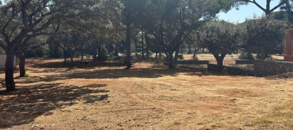 Terreno en Andalucía, Spain No. 144971 14