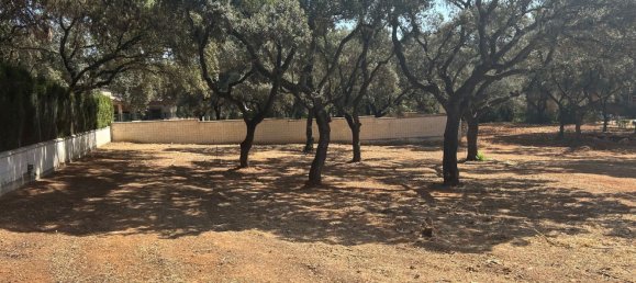 Terreno en Andalucía, Spain No. 144971 13