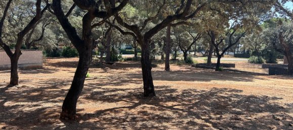 Terreno en Andalucía, Spain No. 144971 7