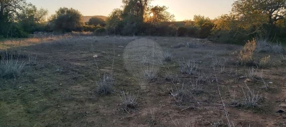 Terrain à Olhao, Portugal 13800m² No. 38907 2