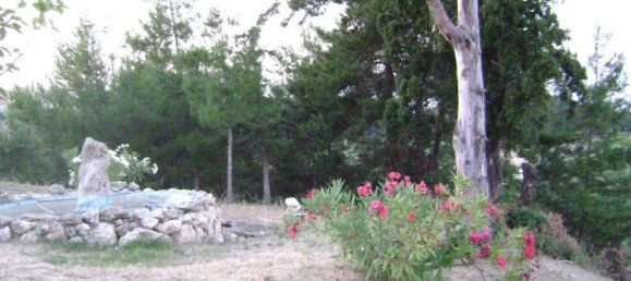 Shop for sale in Zakynthos, Ionian Islands, Peloponnese, Western Greece and the Ionian, Greece № 603 20