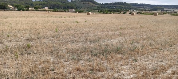 36m² Land in Sant Joan, Spain No. 182395 4