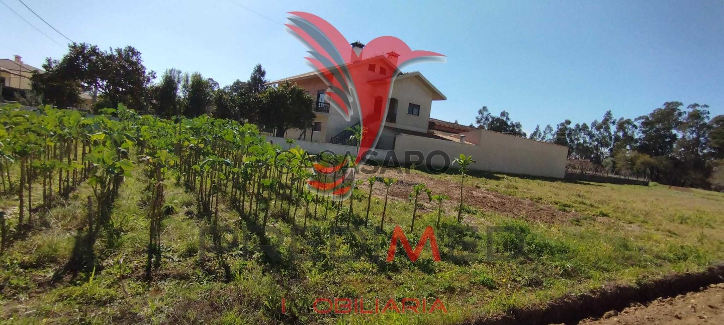  Land in Quarteira, Portugal No. 198358