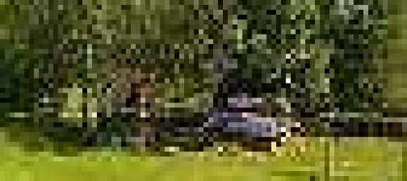  Land in Tiefgraben, Austria No. 258856 6