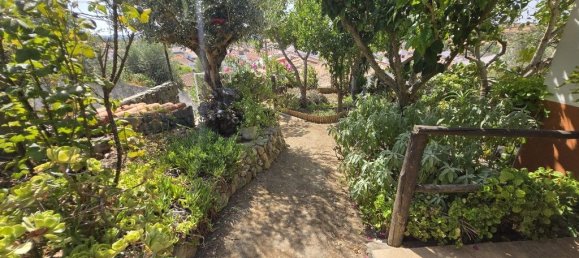 1 Schlafzimmer Haus in Portel, Portugal, Nr. 269740 36