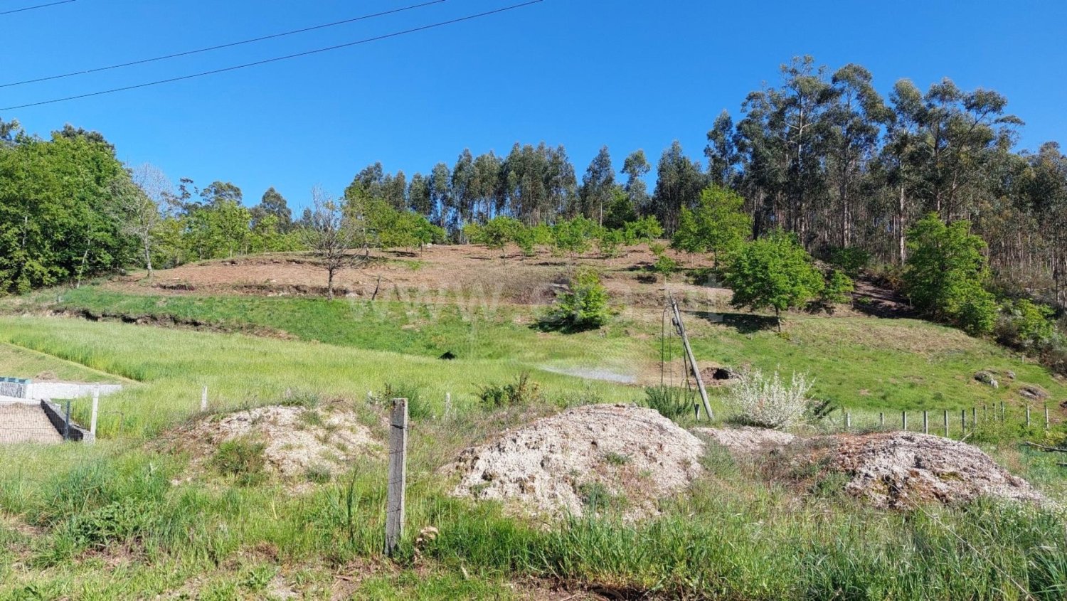  Land in Quinchaes, Portugal No. 351689