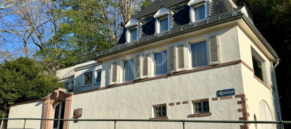 4 غرف نوم فيلا في Heidelberg, Germany رقم 18038 22