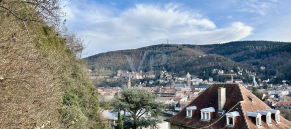 4 غرف نوم فيلا في Heidelberg, Germany رقم 18038 11