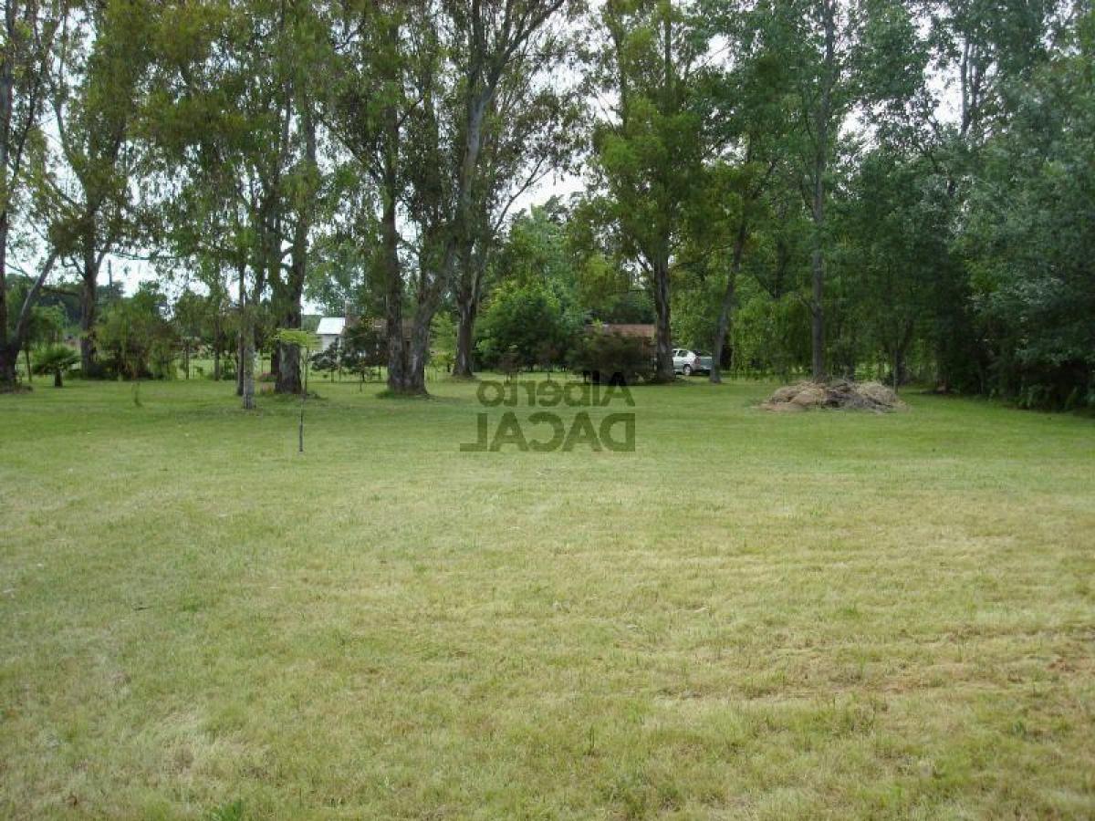  Land in Campo Creado, Argentina No. 44445