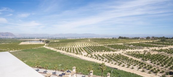 3 bedrooms Villa in Algorfa, Spain No. 287944 25