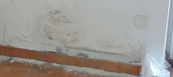 4 rooms House in Ligist, Austria No. 194322 21