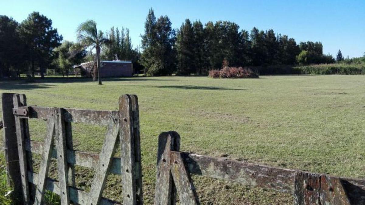  Land in Santa Fe, Argentina No. 31197