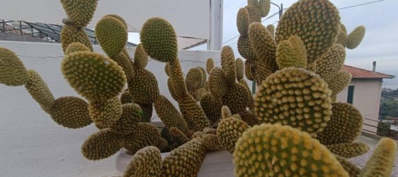 3 rooms Villa in Sanremo, Italy No. 157991 26