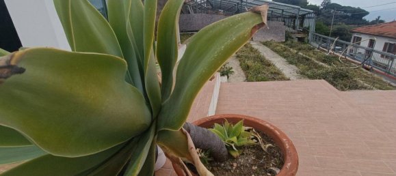 3 rooms Villa in Sanremo, Italy No. 157991 27