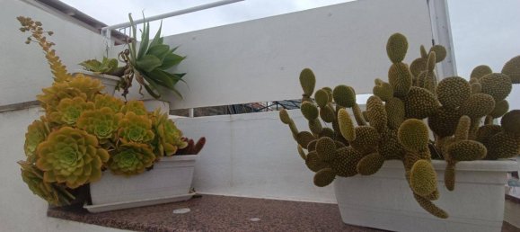 3 rooms Villa in Sanremo, Italy No. 157991 25