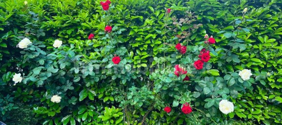 1 bedroom Apartment in Turin, Italy No. 103118 4