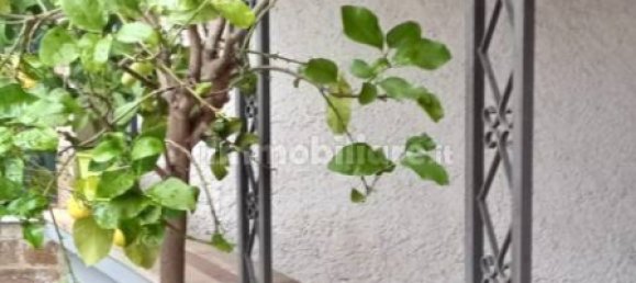 Квартира с 3 спальнями в Кастелло дель Матезе, Италия № 123157 19