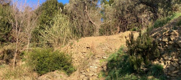 3800m² Land in Quiliano, Italy No. 97936 7