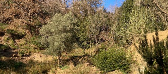 3800m² Land in Quiliano, Italy No. 97936 6