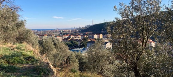 3800m² Land in Quiliano, Italy No. 97936 2