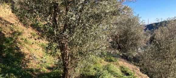 3800m² Land in Quiliano, Italy No. 97936 11