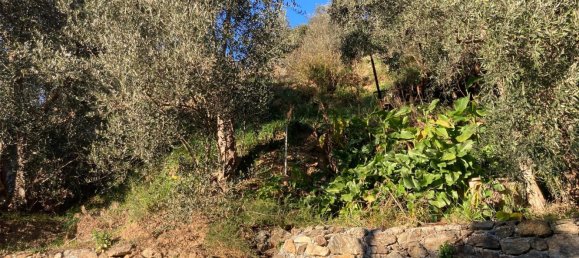 3800m² Land in Quiliano, Italy No. 97936 9